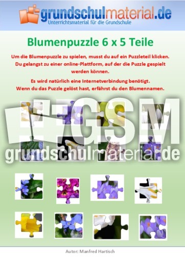 Blumenpuzzle 6x5.pdf